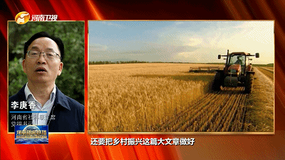 1666836684375789.gif 640.gif