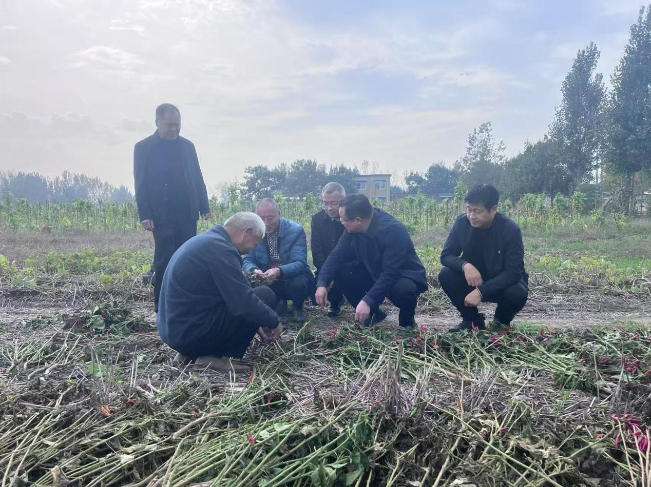 1761906041284056.png 1761906041284056.png