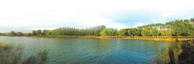 1573803372944701.jpg 2019111502.jpg